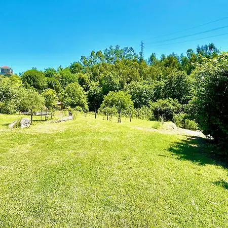 Amarela * بينافيل